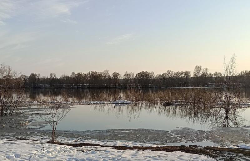 фото ИД «Пресса»